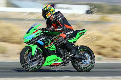 media/Jan-13-2024-SoCal Trackdays (Sat) [[9c032fe5aa]]/Turn 14 (10am)/